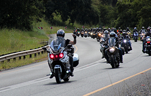 Immortal Guardians MC National Men's Convention in Nelspruit